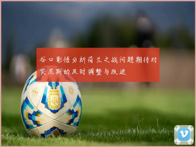 谷口彰悟分析荷兰之战问题期待对突尼斯的及时调整与改进
