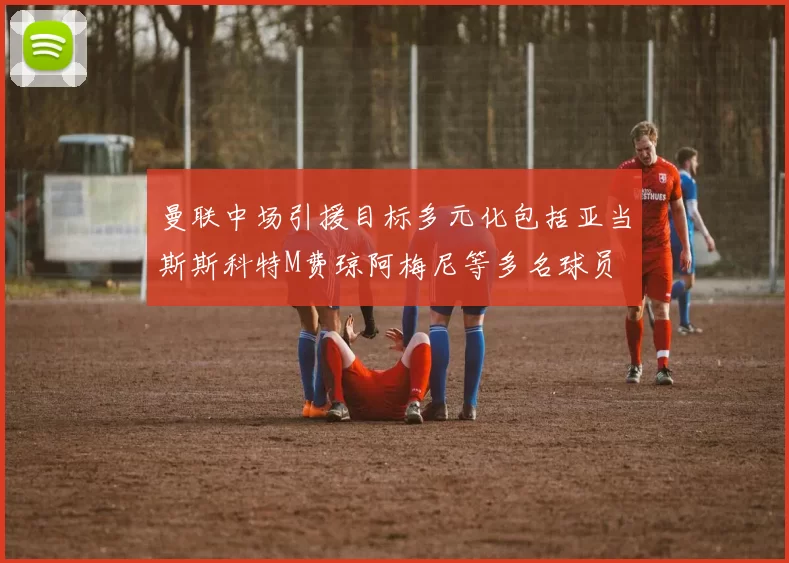 曼联中场引援目标多元化包括亚当斯斯科特M费琼阿梅尼等多名球员